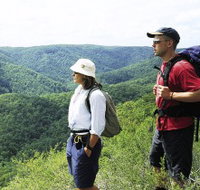 Sunshine Coast Hinterland Great Walk - New Castle Holiday