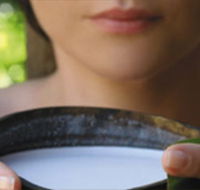 Ikatan Day Spa - New Castle Holiday