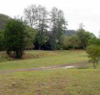 Brooyar State Forest - New Castle Holiday