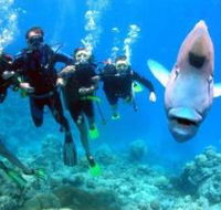 Magic Mountain Dive Site - New Castle Holiday