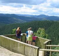 Kenilworth Forest Reserve - New Castle Holiday
