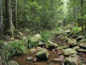 Amamoor QLD New Castle Holiday