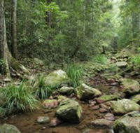 Amamoor State Forest - New Castle Holiday