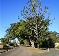 Anzac Avenue Memorial Trees Beerburrum - New Castle Holiday