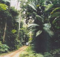 Conondale Great Walk - New Castle Holiday