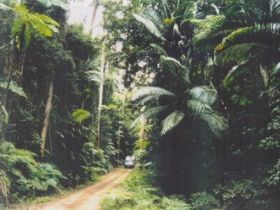 Conondale Great Walk - New Castle Holiday 0