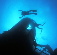 Ex HMAS Brisbane Dive Site - New Castle Holiday