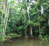 Mount Allan Trail - New Castle Holiday