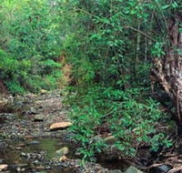 Mudlo National Park - New Castle Holiday
