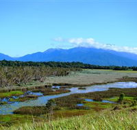 Eubenangee Swamp National Park - New Castle Holiday