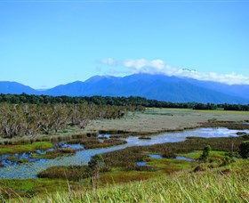 Eubenangee Swamp National Park - New Castle Holiday 0