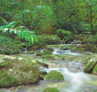 Mossman Gorge Daintree National Park - New Castle Holiday