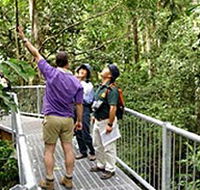 Daintree Discovery Centre - New Castle Holiday