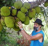 Cape Trib Exotic Fruit Farm - New Castle Holiday