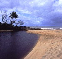 Russell River National Park - New Castle Holiday