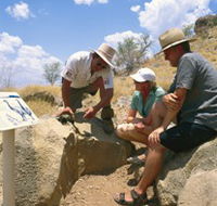 Riversleigh Fossil Fields - New Castle Holiday
