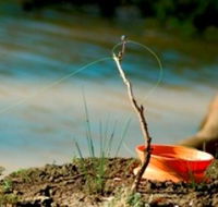 Charleville - Mangalore Warrego River Fishing Spot - New Castle Holiday
