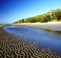 Burrum Coast National Park - New Castle Holiday