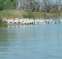 Lake Ross - New Castle Holiday