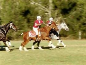 Thane QLD New Castle Holiday