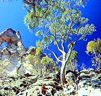 Mount Moffatt Section - Carnarvon National Park - New Castle Holiday
