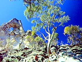 Mount Moffatt Section - Carnarvon National Park - New Castle Holiday 0