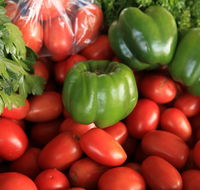 Burleigh Heads Markets - New Castle Holiday
