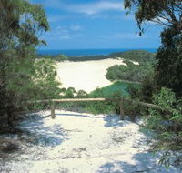 Lake Wabby Track - New Castle Holiday