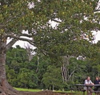 Ravensbourne National Park - New Castle Holiday