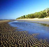 Kinkuna Section - New Castle Holiday