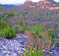 Isla Gorge National Park - New Castle Holiday