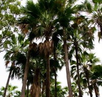 Palm Tree Creek - New Castle Holiday