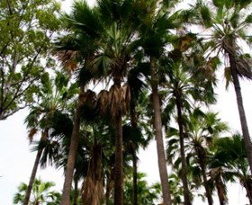 Palm Tree Creek - New Castle Holiday 0