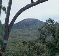 Mount Fox - New Castle Holiday