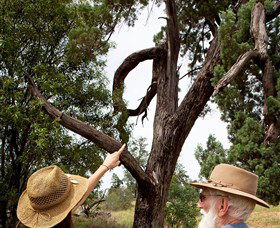 Charleville - Outback Native Timber Walk - New Castle Holiday 0