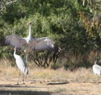 Bulloo River Walk - New Castle Holiday