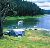 Danbulla National Park and Danbulla State Forest - New Castle Holiday