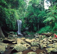 Tamborine National Park - New Castle Holiday