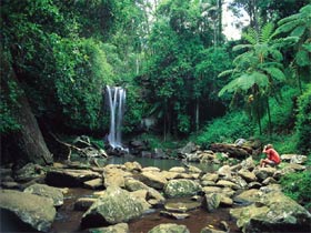 Tamborine National Park - New Castle Holiday 0
