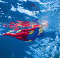 Outer Rocks Dive Site - New Castle Holiday