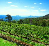 Preston Peak Wines - New Castle Holiday