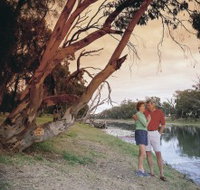 The Looking Glass - New Castle Holiday