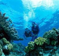 Coral Gardens Dive Site - New Castle Holiday