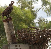 Blackall Sculpture Trail - New Castle Holiday