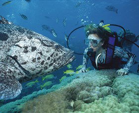 Pelorus Island - New Castle Holiday 0