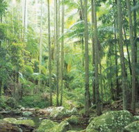 Python Rock - New Castle Holiday