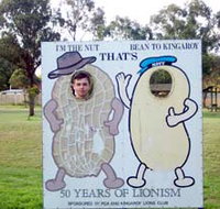 Kingaroy Lions Park - New Castle Holiday