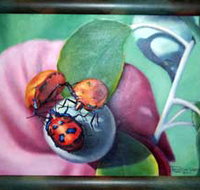 Kingaroy Shire Art Gallery - New Castle Holiday