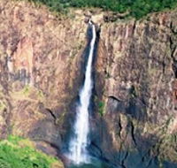 Buujan Quiinbiira Walk Wet Tropics Great Walk - New Castle Holiday