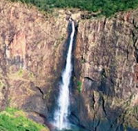 Gugigugi Butterfly Walk Wet Tropics Great Walk - New Castle Holiday